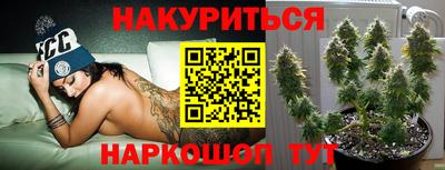 прущие крисы Железногорск