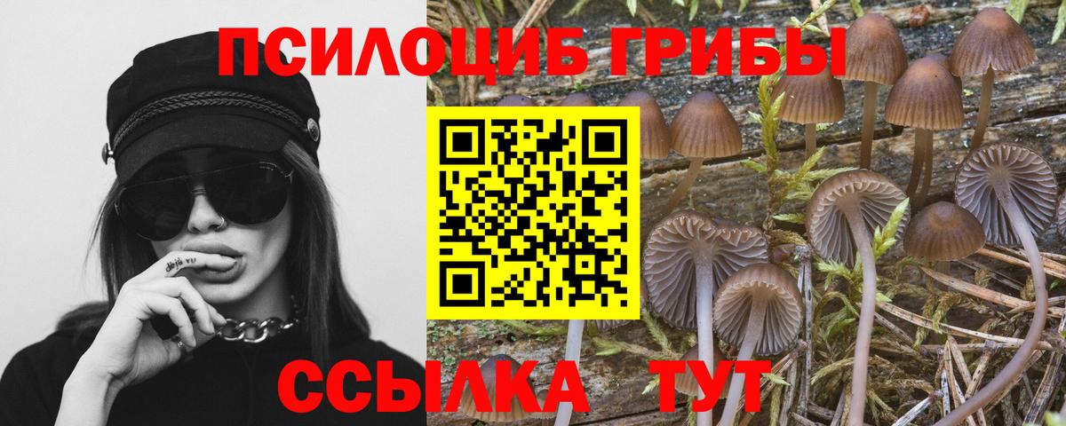 Мыски  Галлюциногенные грибы Psilocybe  купить закладку  Вход с VPN 